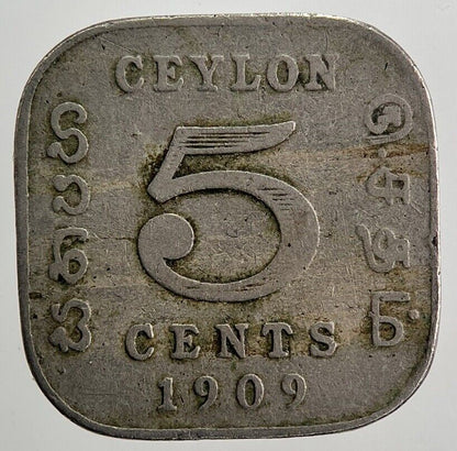 1909 Ceylon 5 Cents Sri Lanka Coin | Collectable Grade