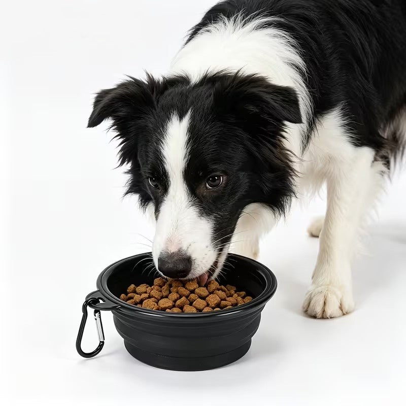 350ml Yellow Pet Supplies Folding Bowl Portable Pet Folding Travel Cat Dog Bowl