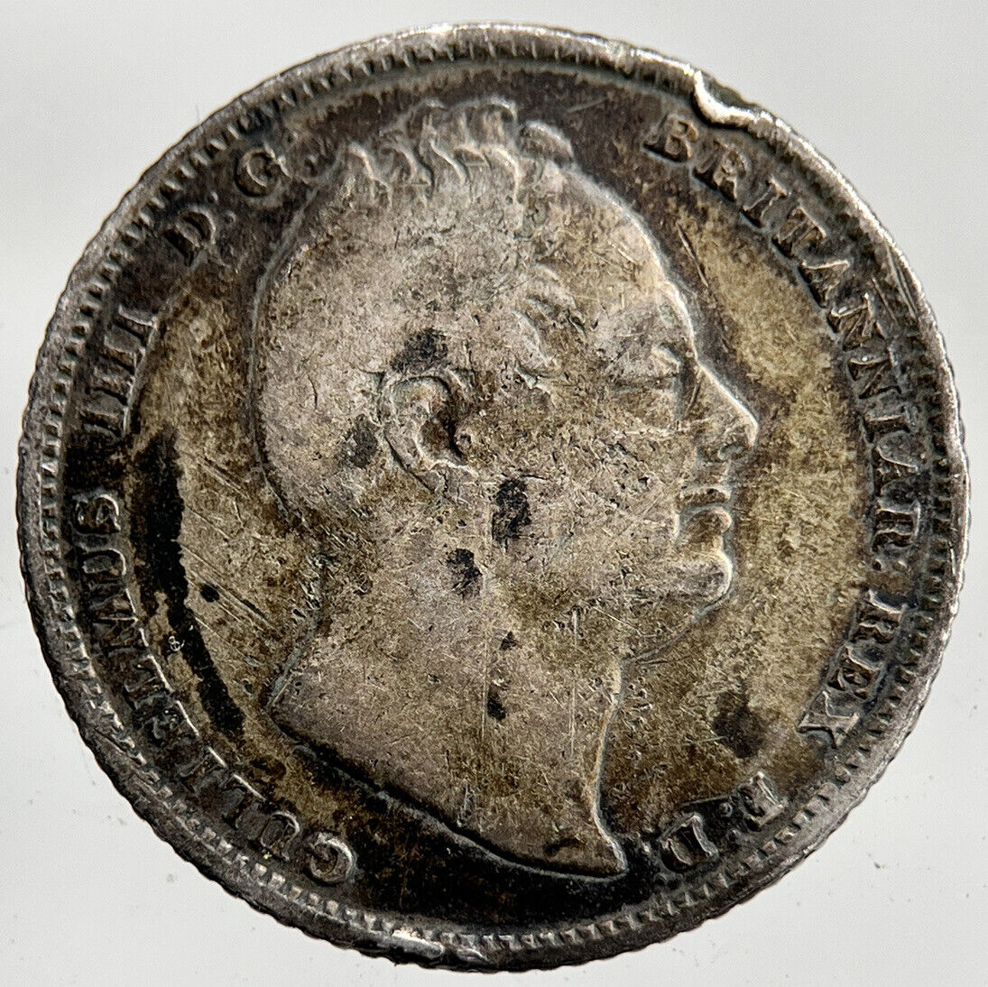 1834 William IV Sixpence Silver Coin | Collectable Grade