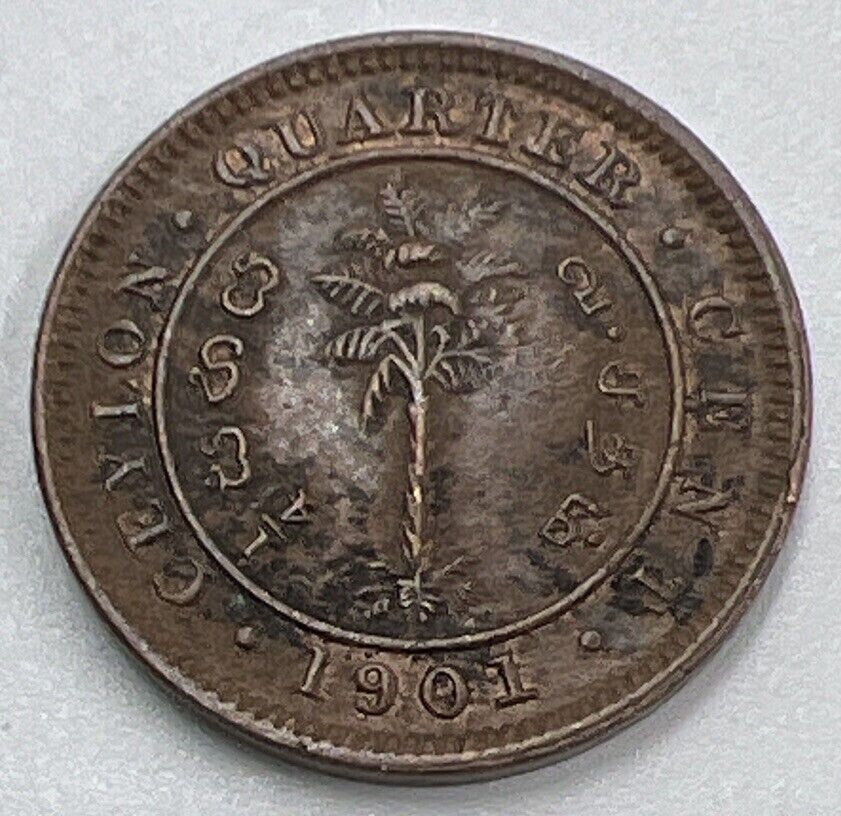 1901 Ceylon 1/4 Quarter Cent Coin | Fine Collectable Grade