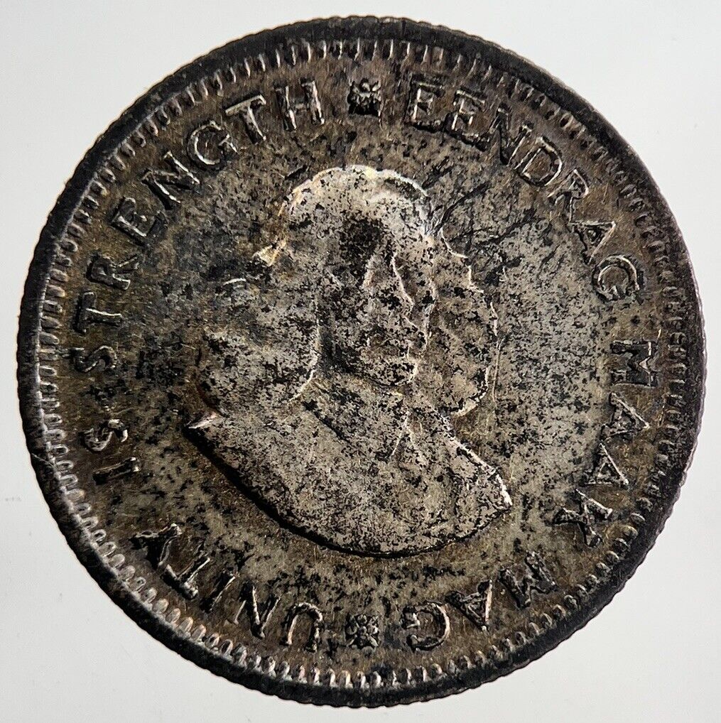 1963 South Africa Sixpence 5 c Silver Coin | Fine Collectable Grade | a6979