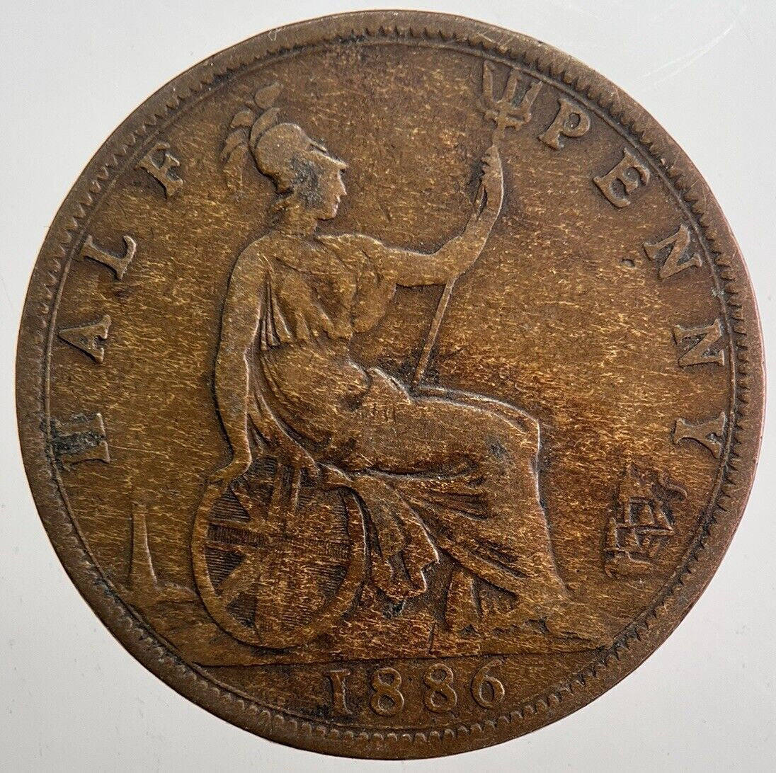 1886 Victoria Half - Penny Coin | Collectable Grade | a7433