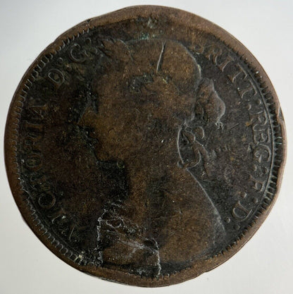 1889 Victoria Half - Penny Coin | Collectable Grade