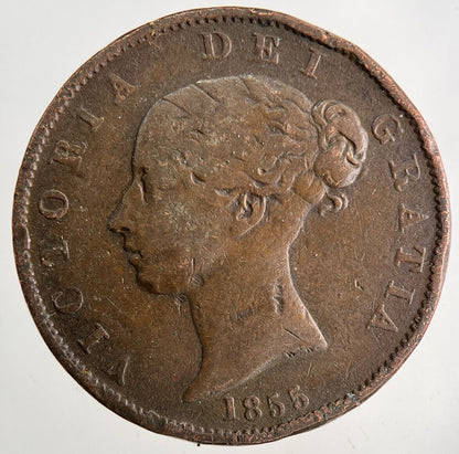 1855 Victoria Half-Penny Coin | Fine Collectable Grade