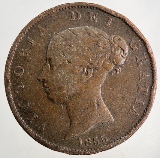 1855 Victoria Half-Penny Coin | Fine Collectable Grade