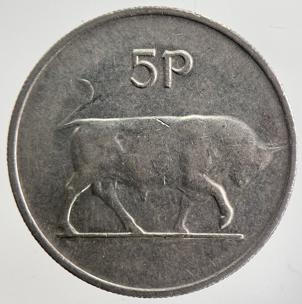 1980 Irish Bull 5p 5 Five - Pence Coin | Very High Grade | a7047