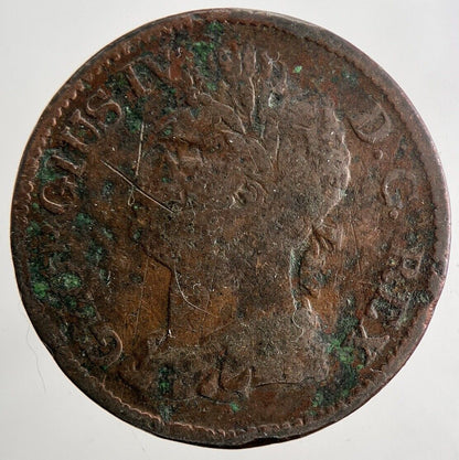 1822 George IV Irish Hibernia Half - Penny Coin | Fine Collectable Grade | a9486