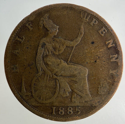 1885 Victoria Half - Penny Coin | Collectable Grade