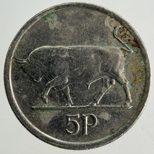 1993 Irish 5p Five - Pence Coin | Fine Collectable Grade