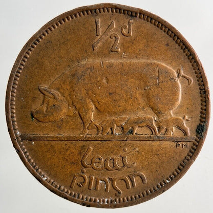 1943 Irish Half - Penny Pig Coin | Very High Grade