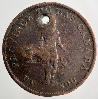 1837 Canada Half Penny Bank Token Coin | Collectable Grade