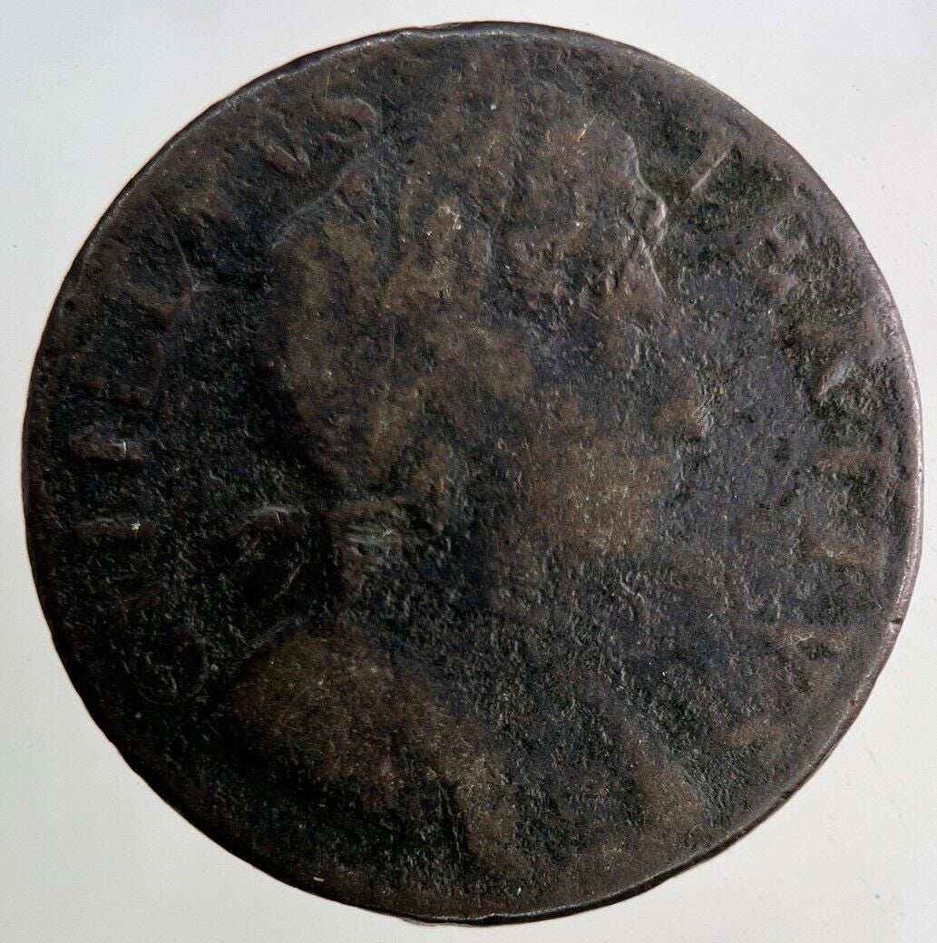 1697 William III Half - Penny Coin | Collectable Grade
