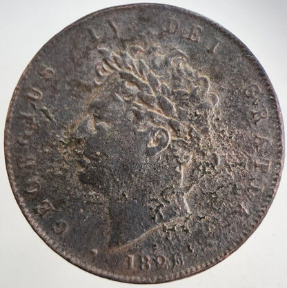 1826 George IV Half-Penny Coin | Fine Collectable Grade | a5740