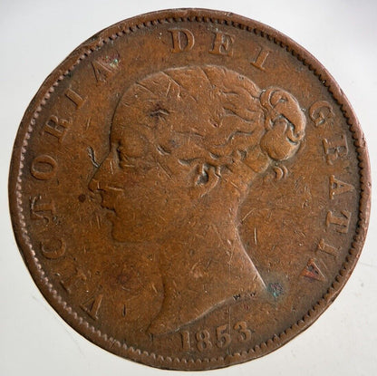 1853 Victoria Half - Penny Coin | Collectable Grade