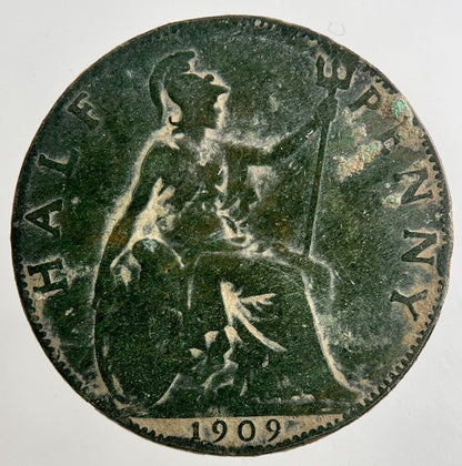 1909 Edward VII Half - Penny Coin | Collectable Grade