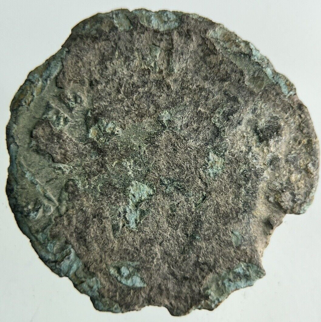 Ancient Roman Empire Denarius Bronze Coin | Collectable Grade