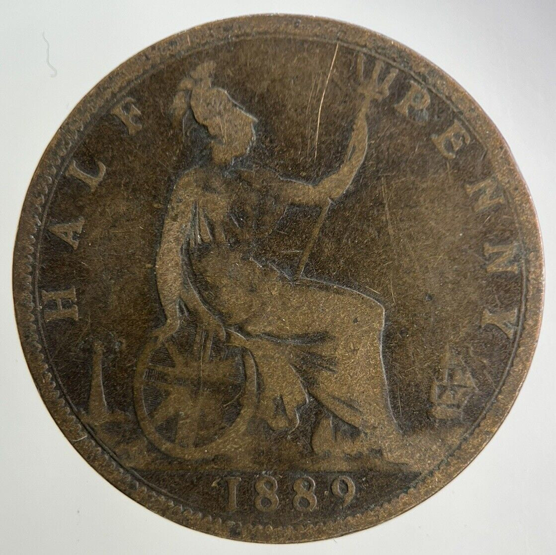 1889 Victoria Half - Penny Coin | Collectable Grade