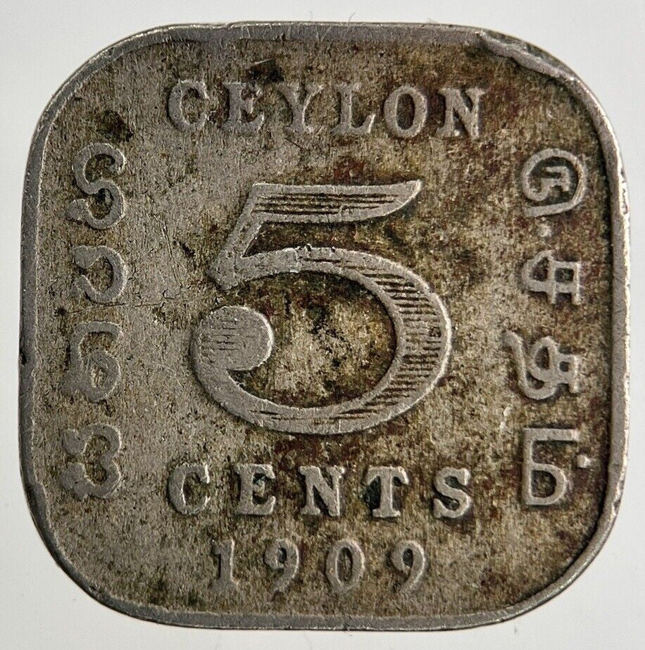 1909 Ceylon 5 Cents Coin | Collectable Grade