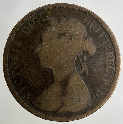 1891 Victoria Half - Penny Coin | Collectable Grade