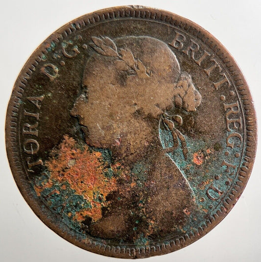 1888 Victoria Half - Penny Coin | Collectable Grade | a3808