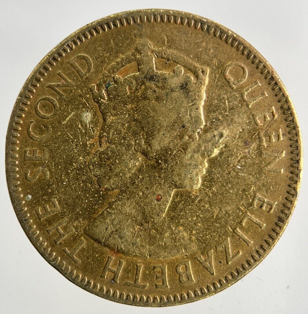 1957 Jamaica Half - Penny Coin | Collectable Grade