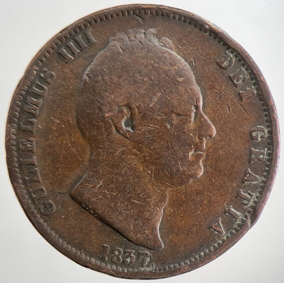1837 William IV Half - Penny Coin | Collectable Grade | a5644