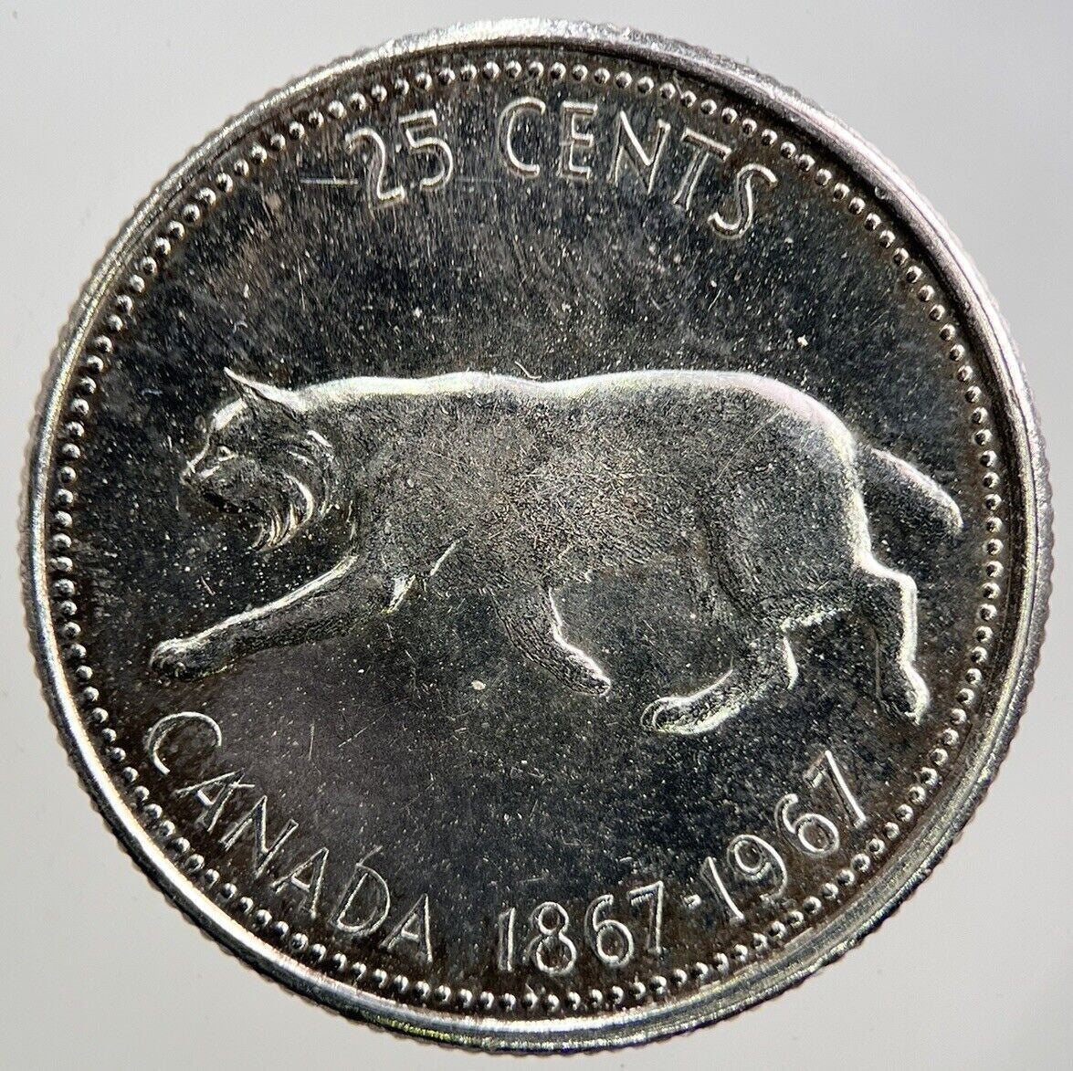 1867 - 1967 Canada 25 Cents Silver Coin | Very High Grade | a3438