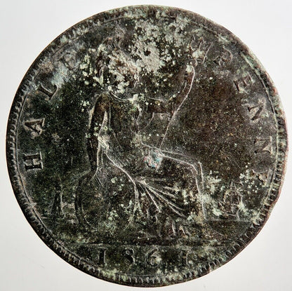 1861 Victoria Half - Penny Coin | Fine Collectable Grade | a3399