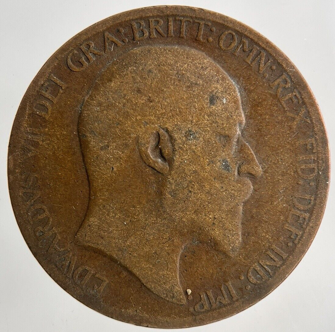 1908 Edward VII Half - Penny Coin | Collectable Grade
