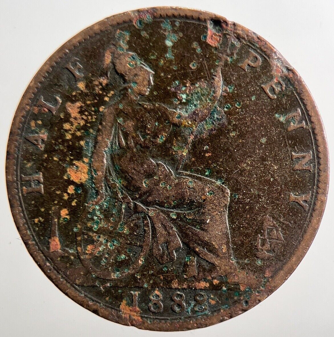 1888 Victoria Half - Penny Coin | Collectable Grade | a3808