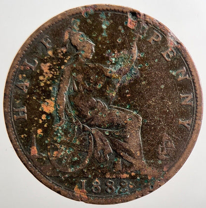 1888 Victoria Half - Penny Coin | Collectable Grade | a3808