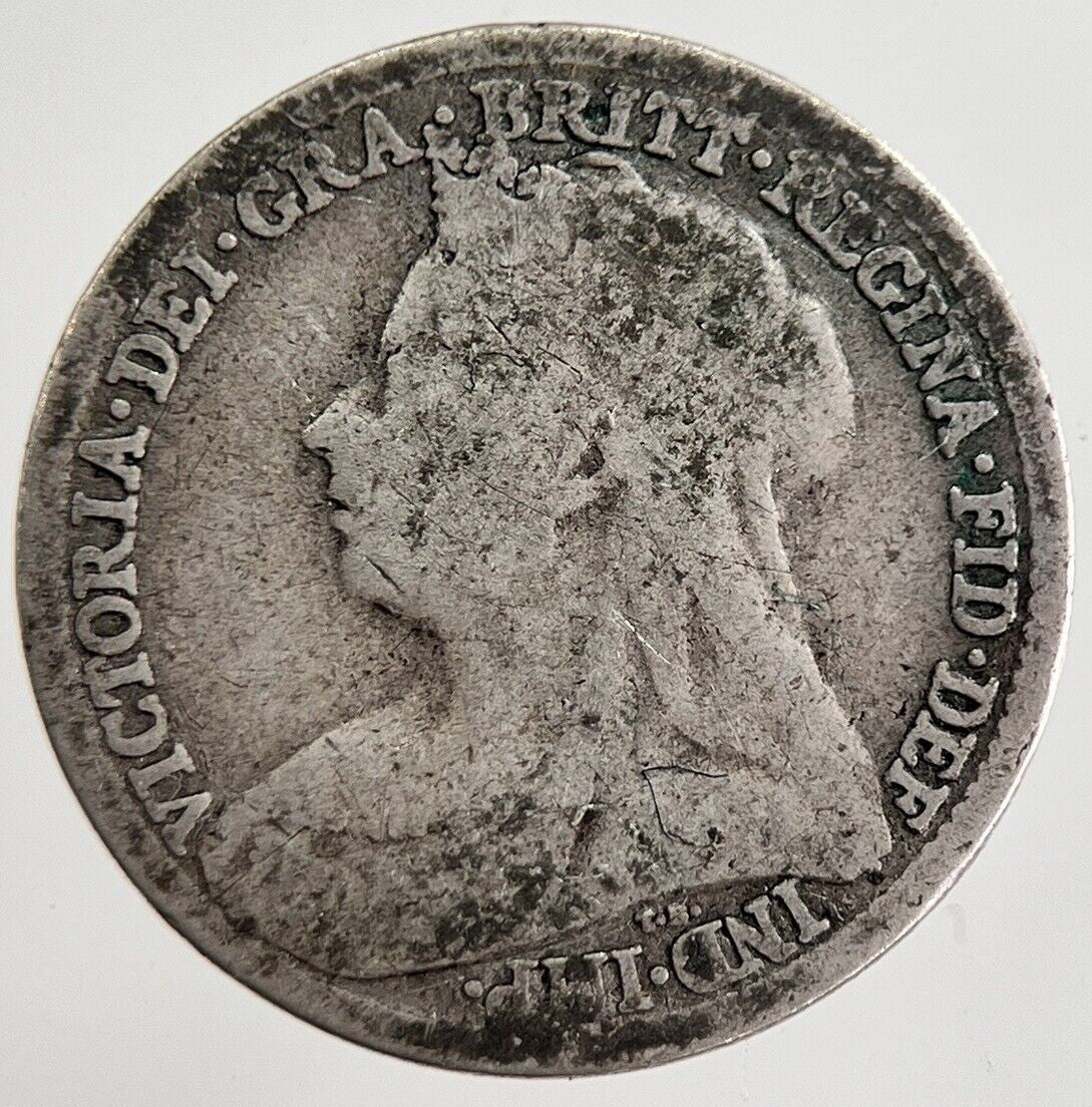 1895 Victoria Threepence Silver Coin | Collectable Grade | a8850
