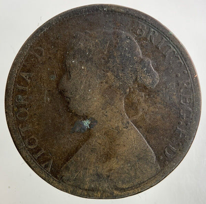 1862 Victoria Half - Penny Coin | Collectable Grade