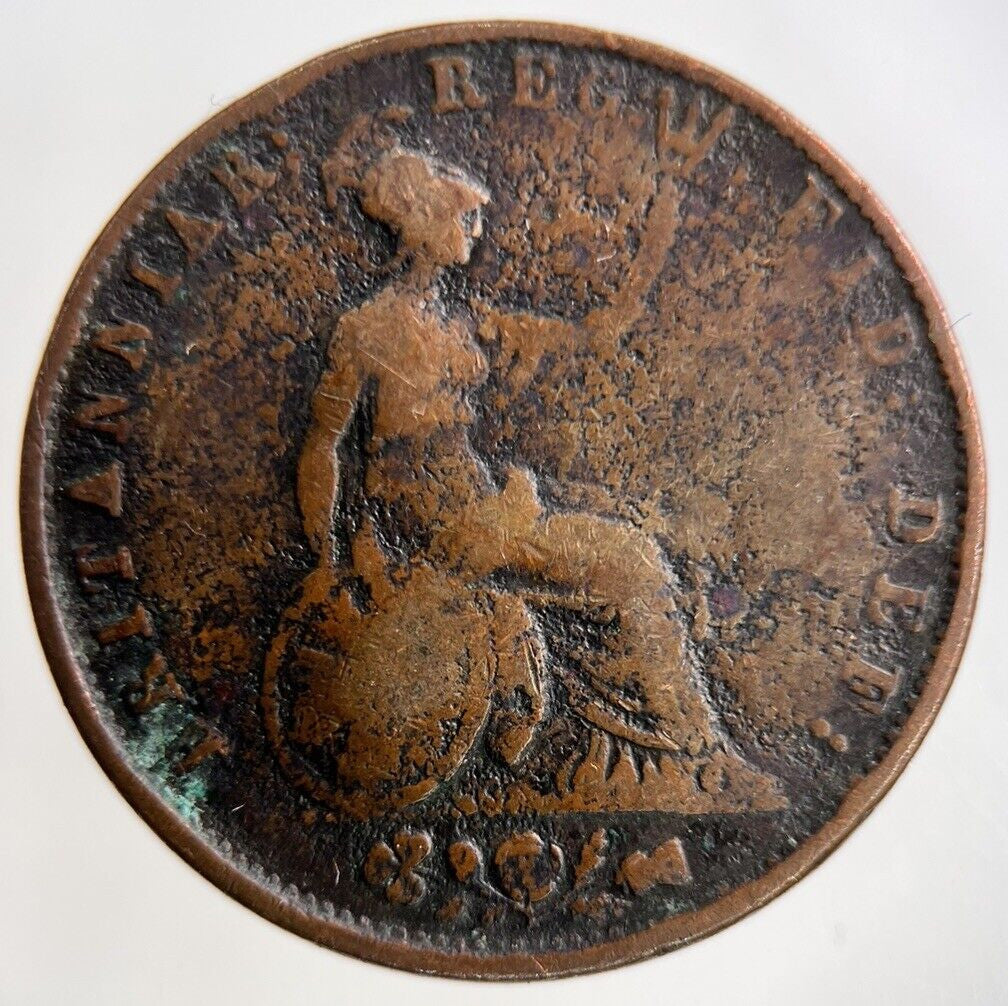 1853 Victoria Half - Penny Coin | Collectable Grade
