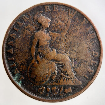 1853 Victoria Half - Penny Coin | Collectable Grade