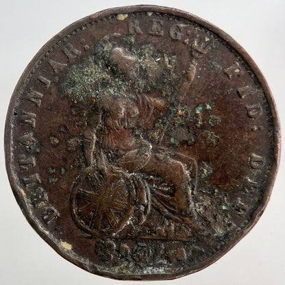 1854 Victoria Half - Penny Coin | Fine Collectable Grade