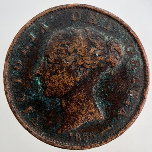 1856 Victoria Half-Penny Coin | Collectable Grade