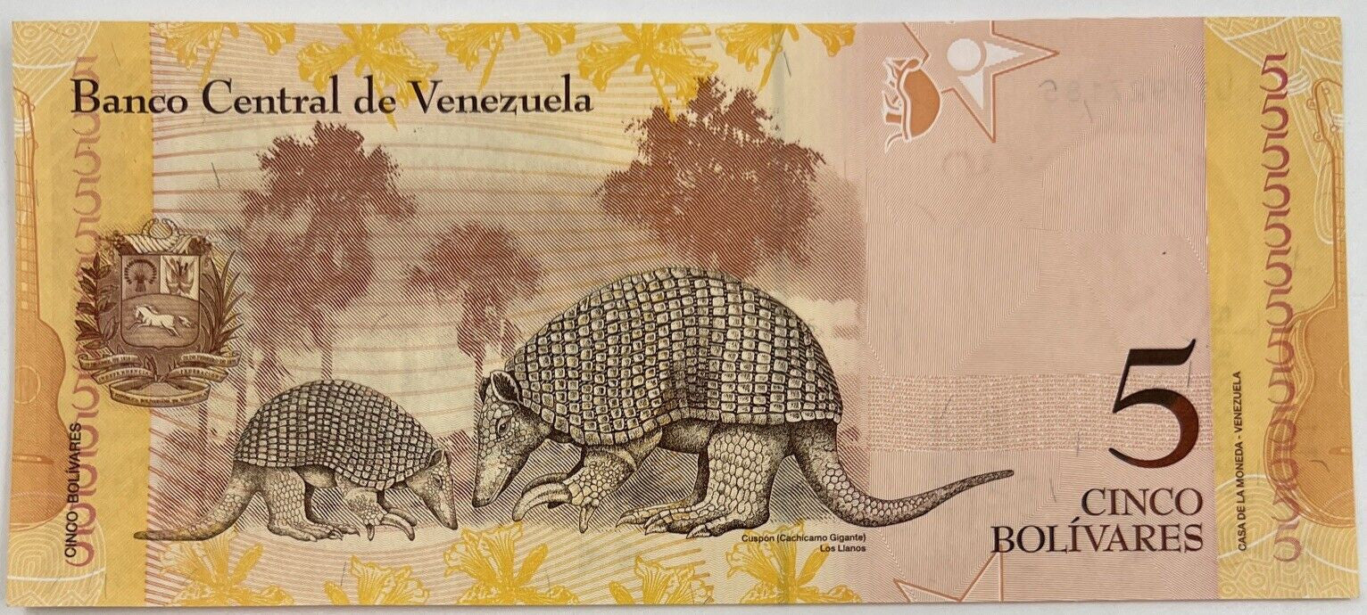 Old Vintage Venezuela 5 Bolivares Banknote | Collectable Grade