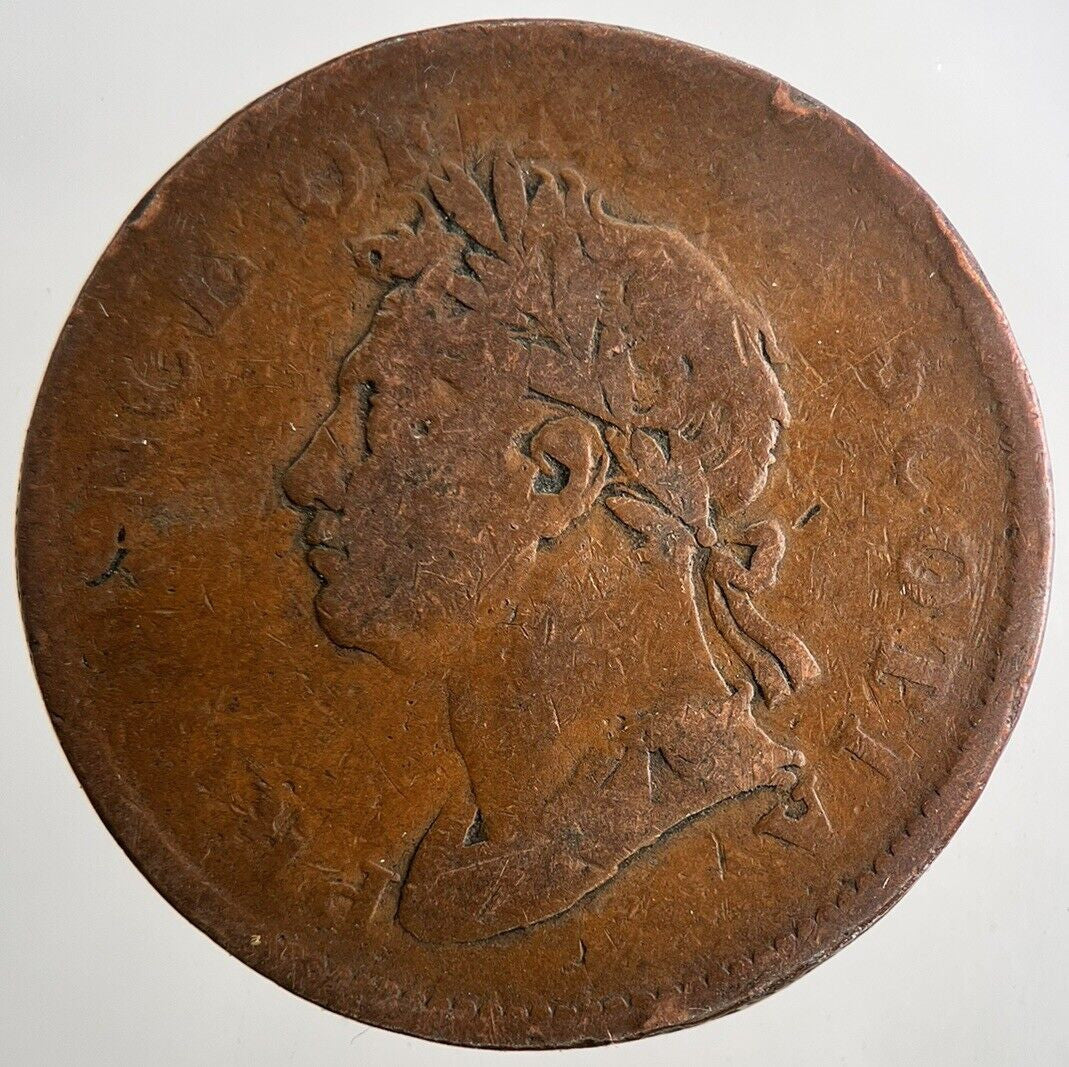 1824 Canada Nova Scotia Half - Penny Token Coin | Collectable Grade | a9491