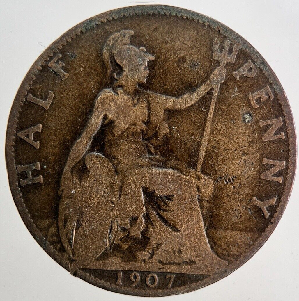 1907 Edward VII Half - Penny Coin | Collectable Grade