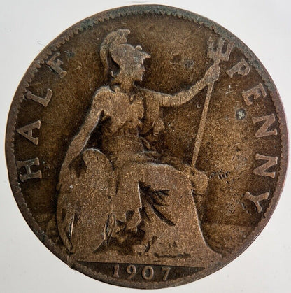 1907 Edward VII Half - Penny Coin | Collectable Grade