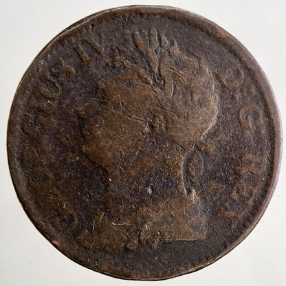 1822 George IV Irish Hibernia Half - Penny Coin | Fine Collectable Grade | a9487