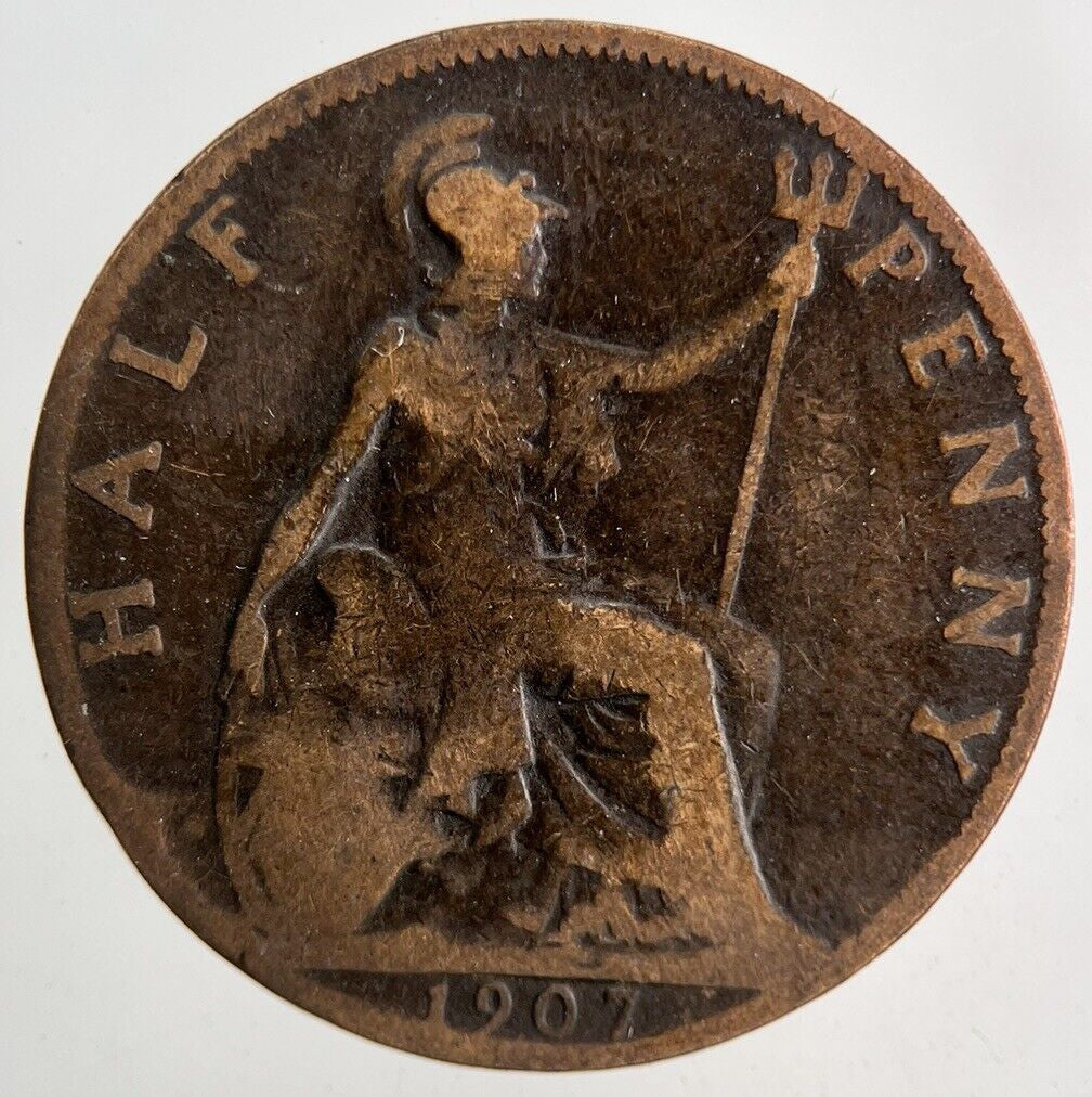 1907 Edward VII Half - Penny Coin | Collectable Grade