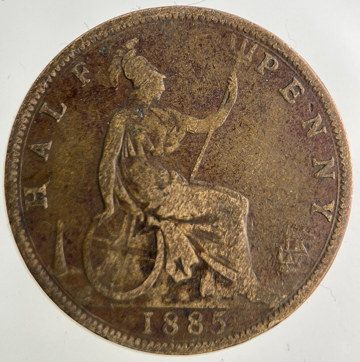 1885 Victoria Half - Penny Coin | Collectable Grade