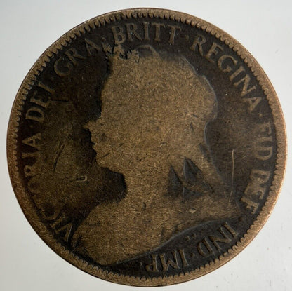 1900 Victoria Half - Penny Coin | Collectable Grade