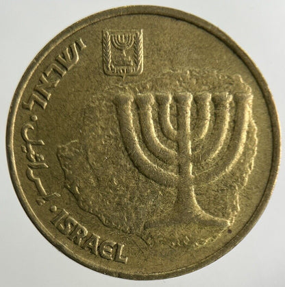 Israel 10 Agorot Coin | Fine Collectable Grade