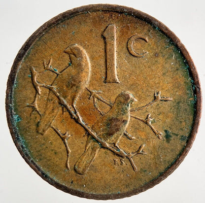 1970 South Africa 1 Cent Coin | Fine Collectable Grade