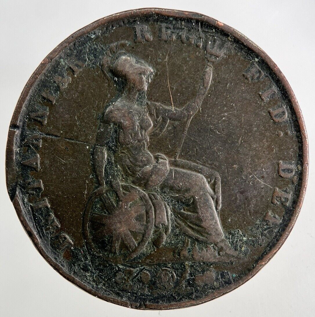 1854 Victoria Half - Penny Coin | Fine Collectable Grade