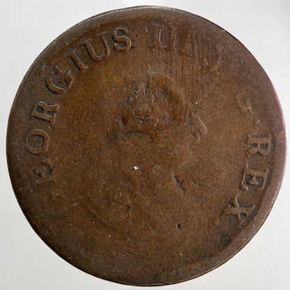 1805 Irish Hibernia Half - Penny Coin | Collectable Grade