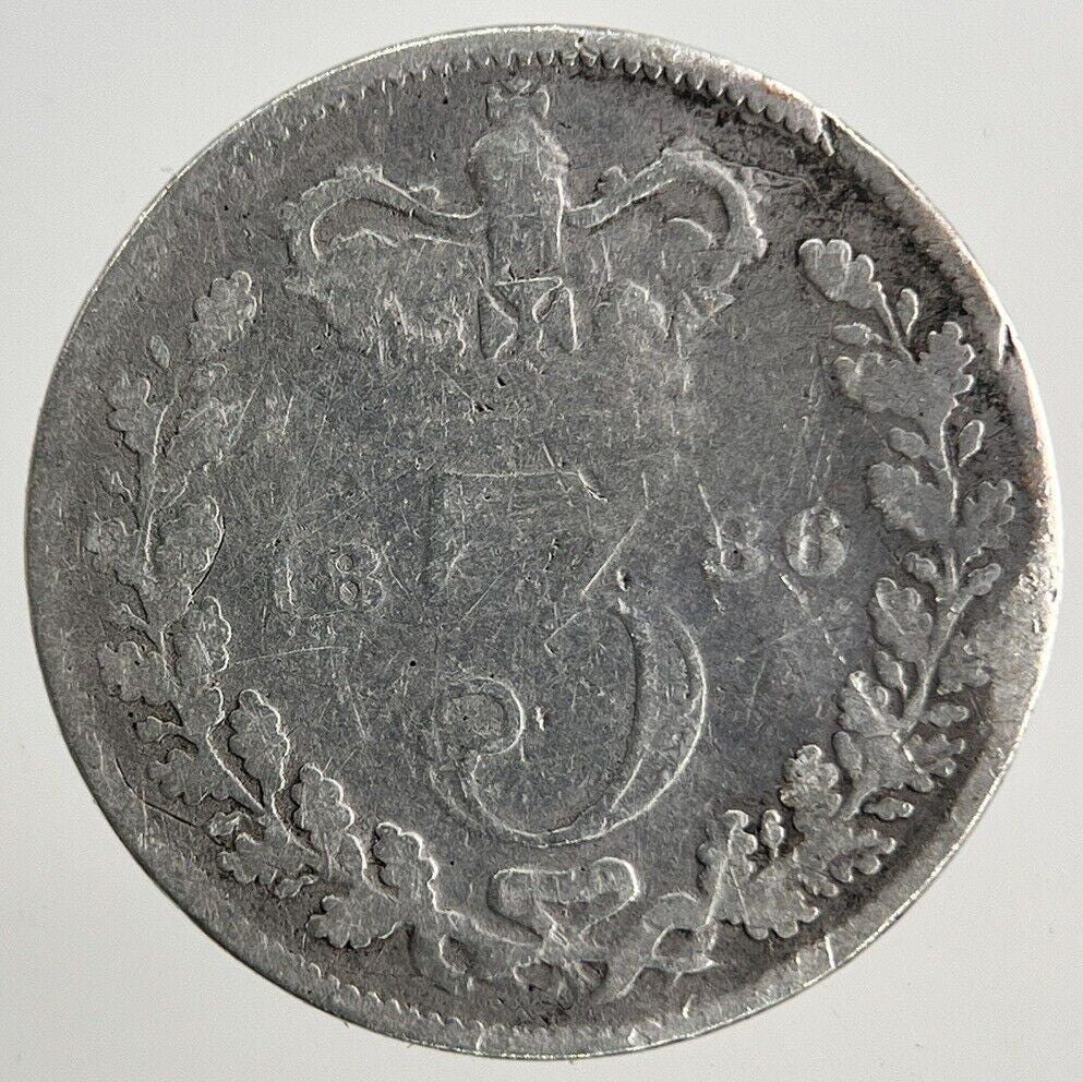 1886 Victoria Threepence Silver Coin | Collectable Grade